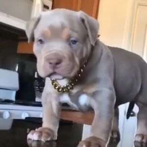 Meet your Posher, Scott